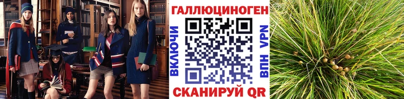 Галлюциногенные грибы мухоморы  купить   hydra онион  Новосибирск 